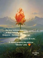 /album/momentos-de-reflex%c3%a3o/manto-purpura-jpg/